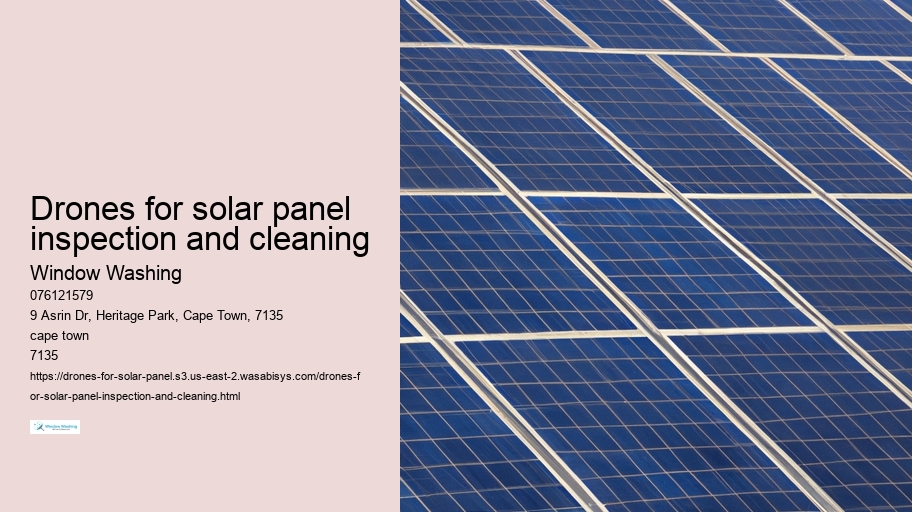 Drones for solar panel inspection and cleaning