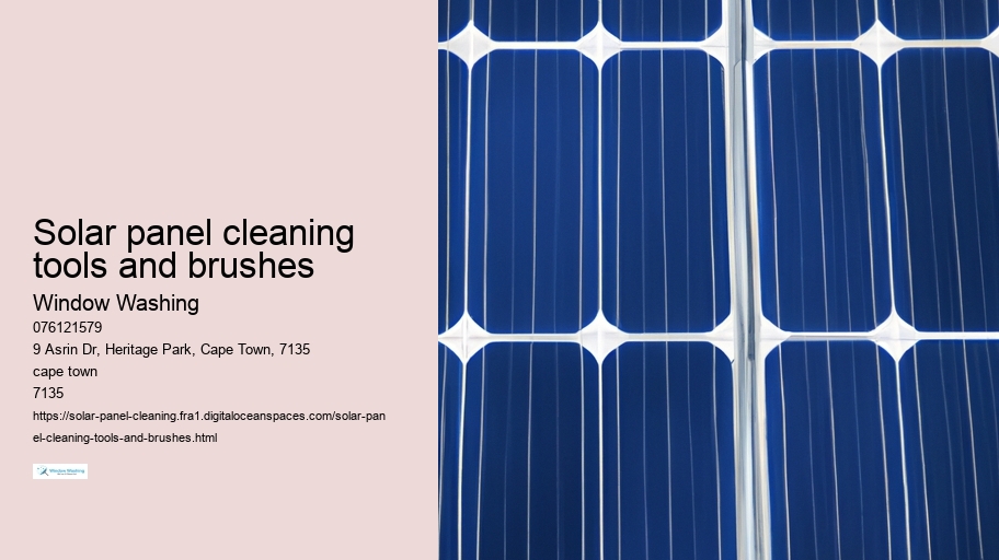Solar panel cleaning tools and brushes