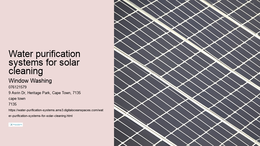 Water purification systems for solar cleaning